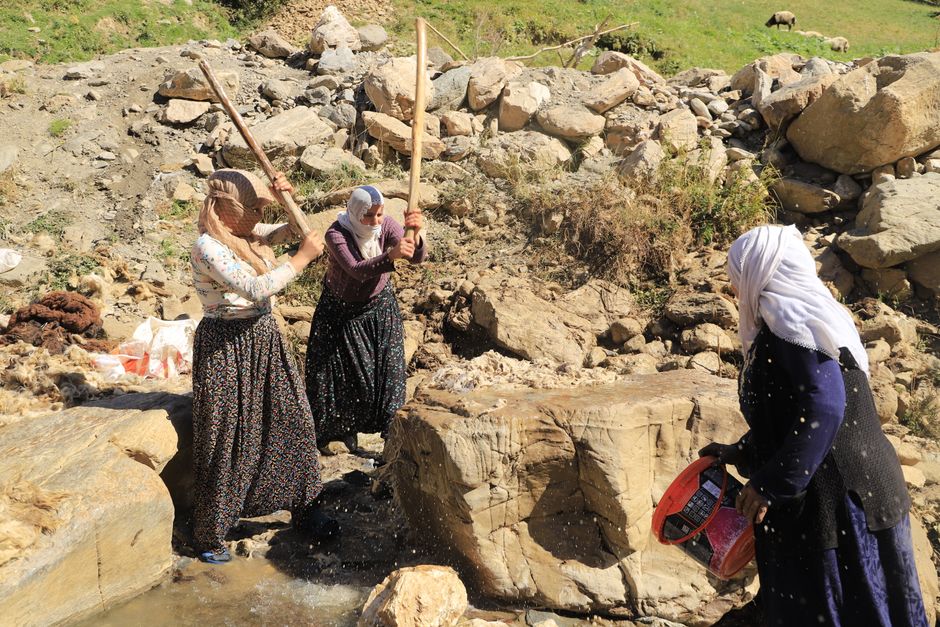Bayburt'ta kadınlar geleneksel yün çırpma mesaisine başladı
