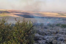 Besni'de ormanlık alana sıçrayan yangın kontrol altına alındı