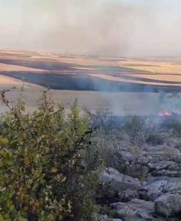Besni'de ormanlık alana sıçrayan yangın kontrol altına alındı
