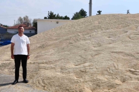 Beylikova Belediyesi 2026'da tarımda rekor verim elde etti
