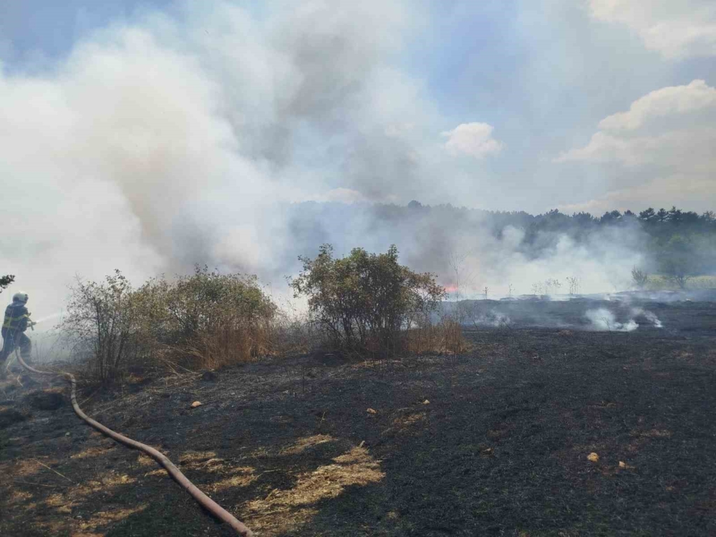 Bilecik'te 30 Dönümlük Buğday Tarlası Yangında Kül Oldu