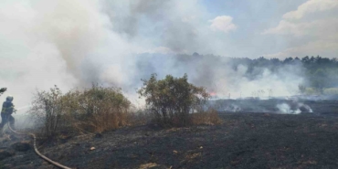 Bilecik'te 30 Dönümlük Buğday Tarlası Yangında Kül Oldu