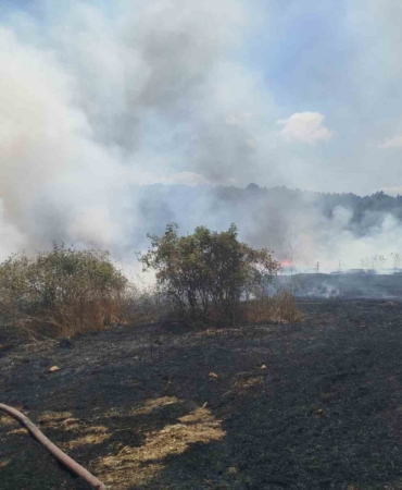 Bilecik'te 30 Dönümlük Buğday Tarlası Yangında Kül Oldu