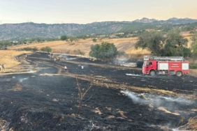 Bilecik'te buğday tarlasında yangın çıktı