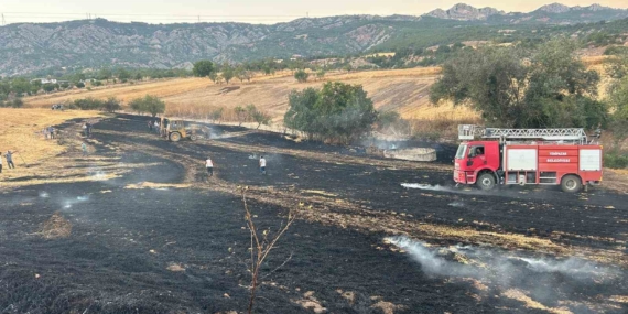 Bilecik'te buğday tarlasında yangın çıktı