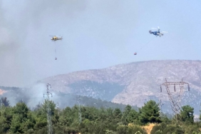 Bilecik'te orman yangınına havadan ve karadan müdahale