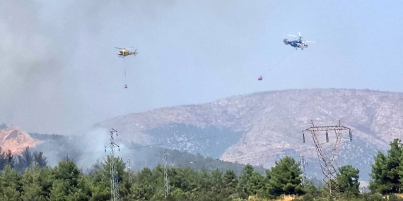 Bilecik'te orman yangınına havadan ve karadan müdahale