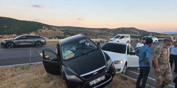 Bingöl'de trafik kazasında 3 kişi yaralandı
