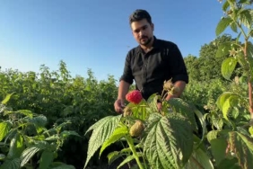 Bolu'da 'İstediğin kadar ye, aldığın kadar öde' konsepti