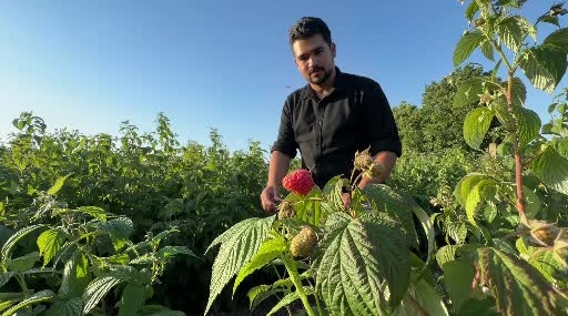 Bolu'da 'İstediğin kadar ye, aldığın kadar öde' konsepti