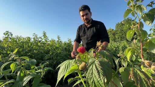 Bolu'da 'İstediğin kadar ye, aldığın kadar öde' konsepti