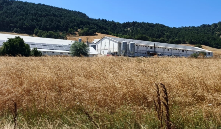 Bolu'da hindi çiftliğinde çıkan yangın kontrol altına alındı