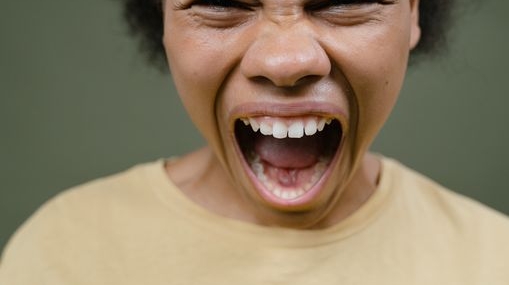 Bolu'da izinsiz kazı yapan 5 kişi suçüstü yakalandı