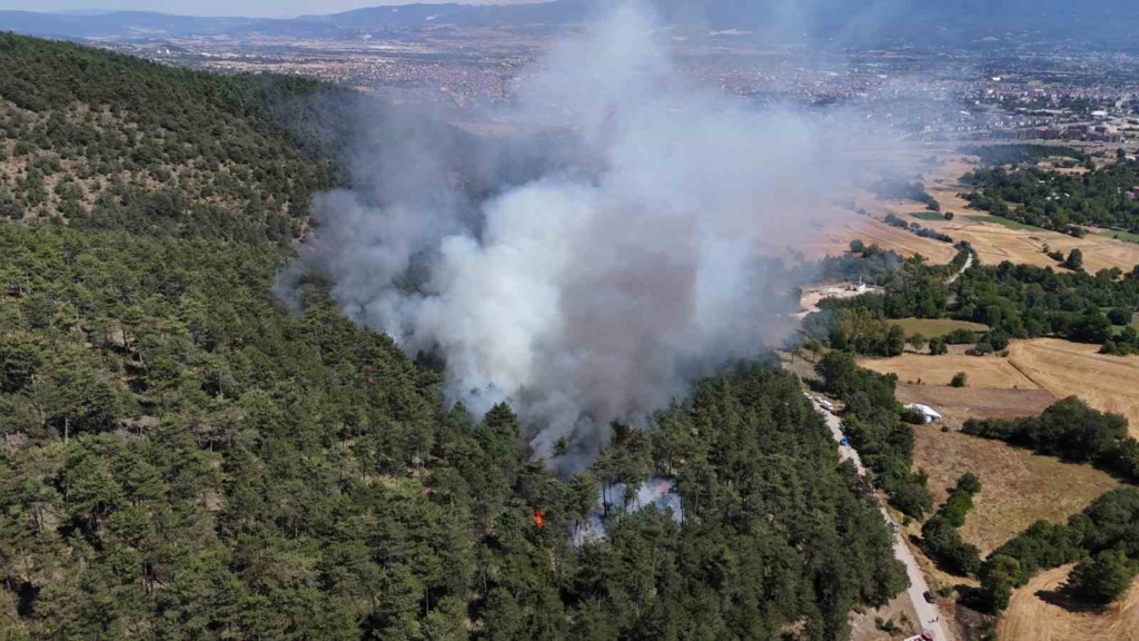Bolu'da orman yangınına müdahale sürüyor