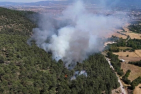 Bolu'da orman yangınına müdahale sürüyor