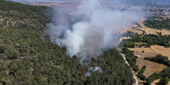 Bolu'da orman yangınına müdahale sürüyor