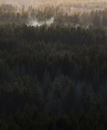 British Columbia'daki orman yangınında bir kişi hayatını kaybetti