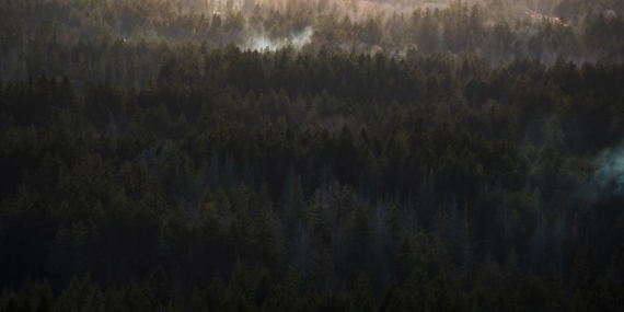 British Columbia'daki orman yangınında bir kişi hayatını kaybetti