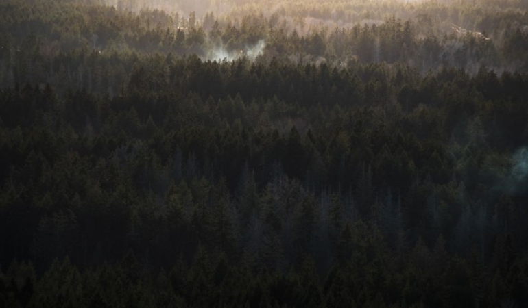 British Columbia'daki orman yangınında bir kişi hayatını kaybetti