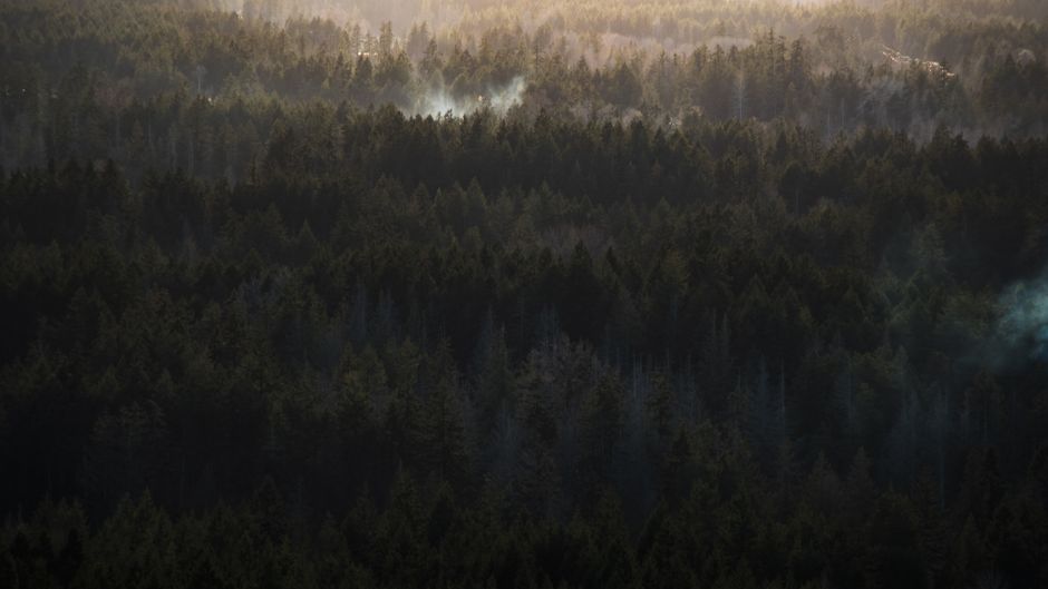 British Columbia'daki orman yangınında bir kişi hayatını kaybetti