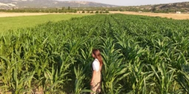 Burdur'da genç kadın çiftçi, babasının iş kazasından sonra sorumluluğu üstlendi