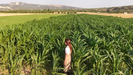 Burdur'da genç kadın çiftçi, babasının iş kazasından sonra sorumluluğu üstlendi