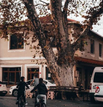 Burdur'da otomobil bisikletle çarpıştı, 2 çocuk yaralandı
