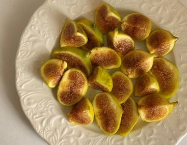Bursa Siyahı İncirinde Hasat Sezonu Başladı