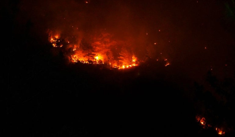 Bursa'da yangına vatandaşlar müdahale etti