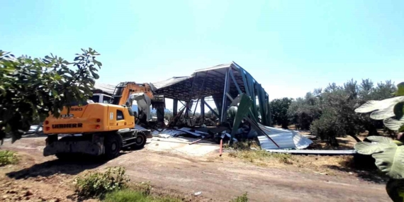 Bursa'da zeytinlikteki kaçak depo yıkıldı