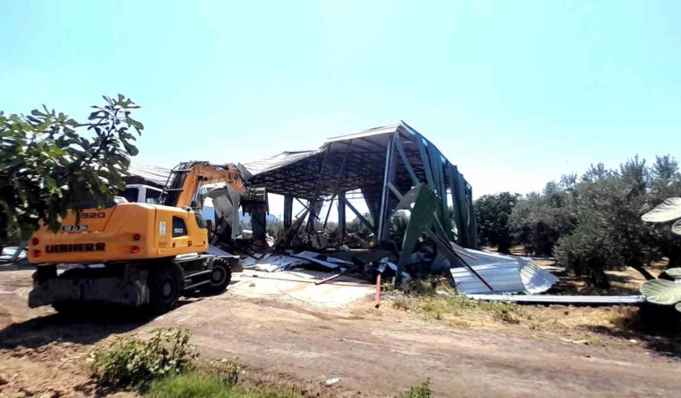 Bursa'da zeytinlikteki kaçak depo yıkıldı