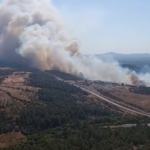 Çanakkale Bayramiç'te orman yangınına havadan müdahale