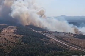 Çanakkale Bayramiç'te orman yangınına havadan müdahale
