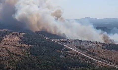 Çanakkale Bayramiç'te orman yangınına havadan müdahale