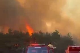 Çanakkale Bayramiç'te orman yangınına müdahale sürüyor