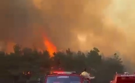 Çanakkale Bayramiç'te orman yangınına müdahale sürüyor