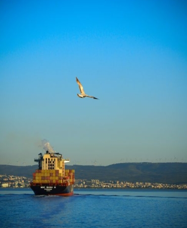 Çanakkale Boğazı'nda kargo gemisi makine arızası yaşadı