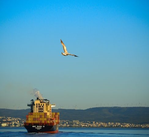 Çanakkale Boğazı'nda kargo gemisi makine arızası yaşadı