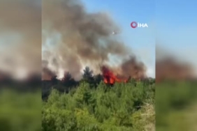 Çanakkale Lapseki'de tarım arazisinde yangın başladı