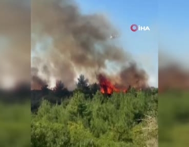 Çanakkale Lapseki'de tarım arazisinde yangın başladı