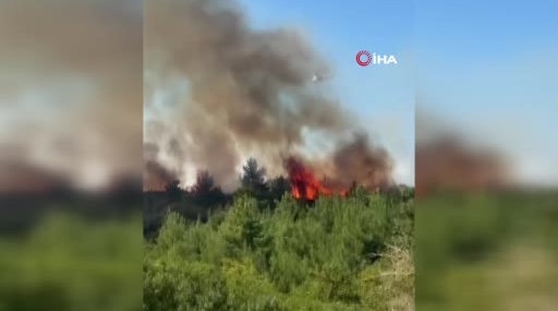 Çanakkale Lapseki'de tarım arazisinde yangın başladı