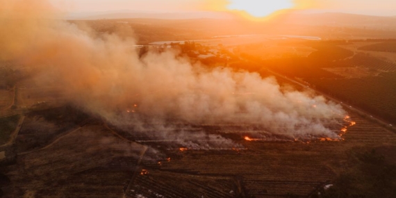 Çanakkale Lapseki'deki tarım arazisinde yangın kontrol altına alındı