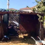 Çanakkale'de ahırda çıkan yangın kontrol altına alındı