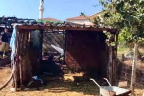 Çanakkale'de ahırda çıkan yangın kontrol altına alındı