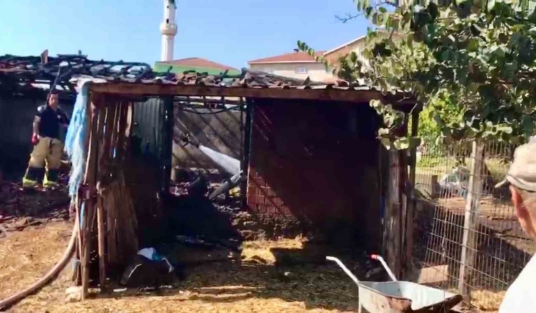 Çanakkale'de ahırda çıkan yangın kontrol altına alındı