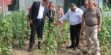 Çarşamba Ovası'nda sağanak sonrası 5 bin dekar tarım zararı