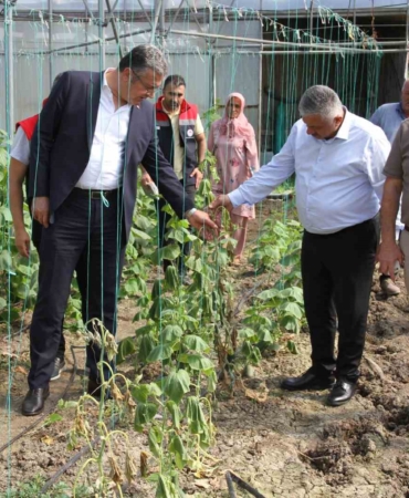 Çarşamba Ovası'nda sağanak sonrası 5 bin dekar tarım zararı