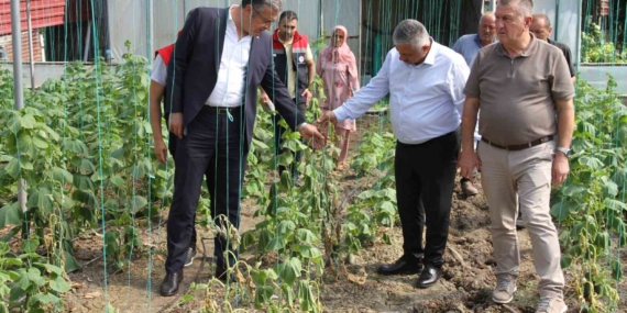 Çarşamba Ovası'nda sağanak sonrası 5 bin dekar tarım zararı
