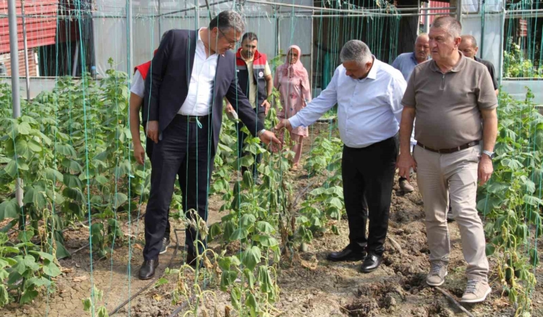 Çarşamba Ovası'nda sağanak sonrası 5 bin dekar tarım zararı
