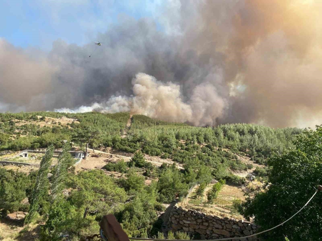 Çine'deki orman yangını kontrol altına alındı